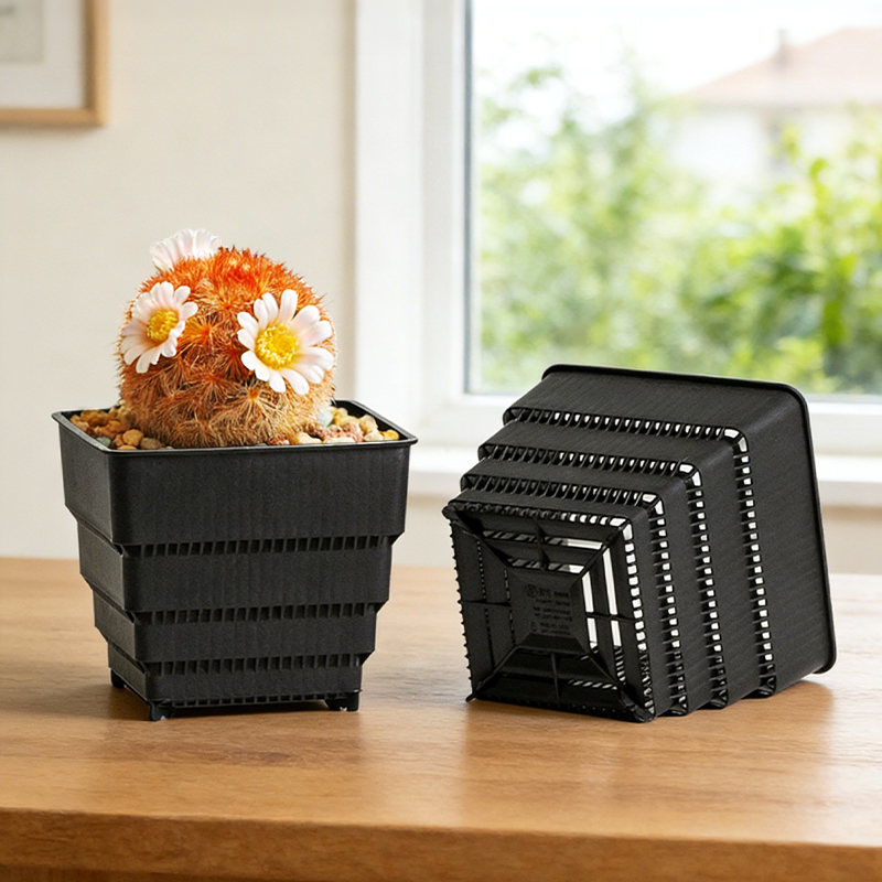Desk Setup Plant - MESHPOT 6-Pack Square Pots for Succulents