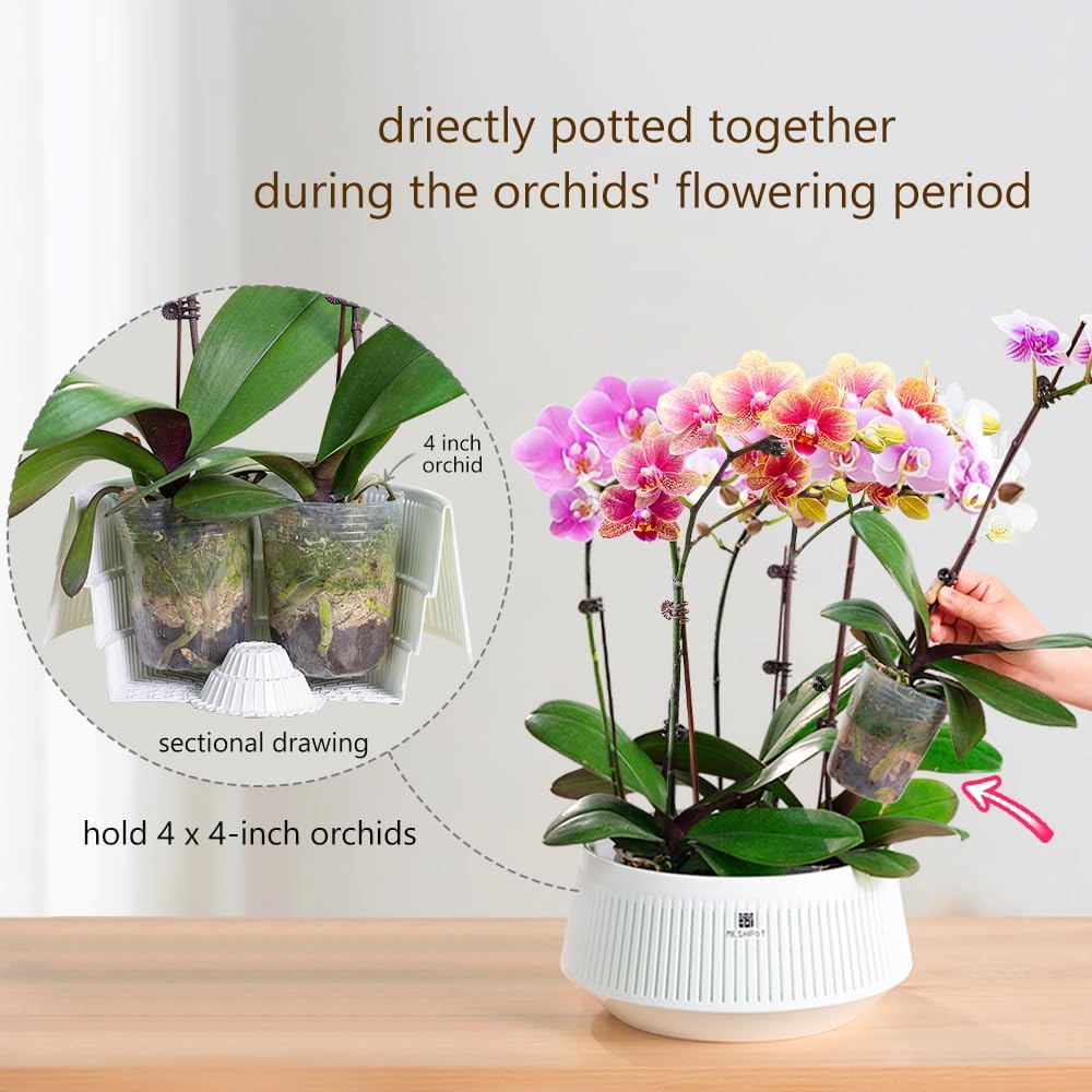 Orchid Pot with Holes & Saucer - Desk Setup Plant 리뷰 및 가격