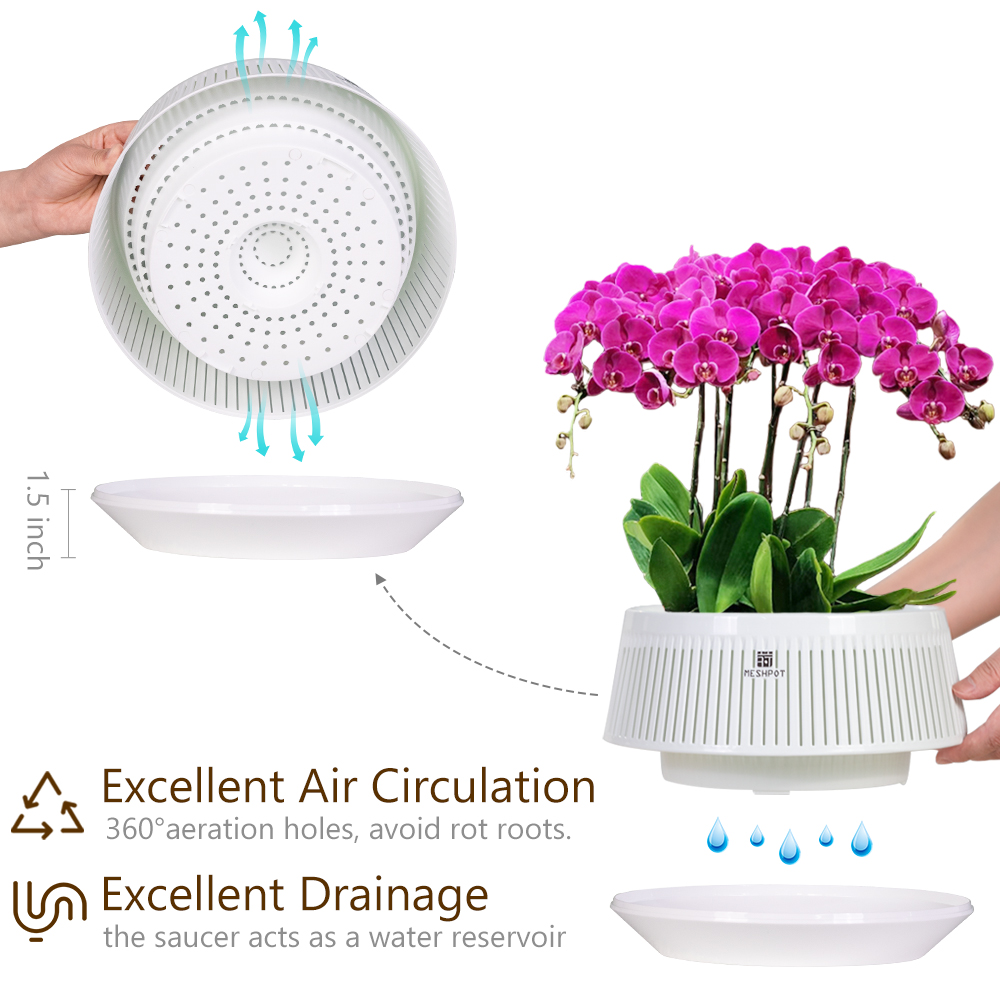 Orchid Pot with Holes & Saucer - Desk Setup Plant 리뷰 및 가격