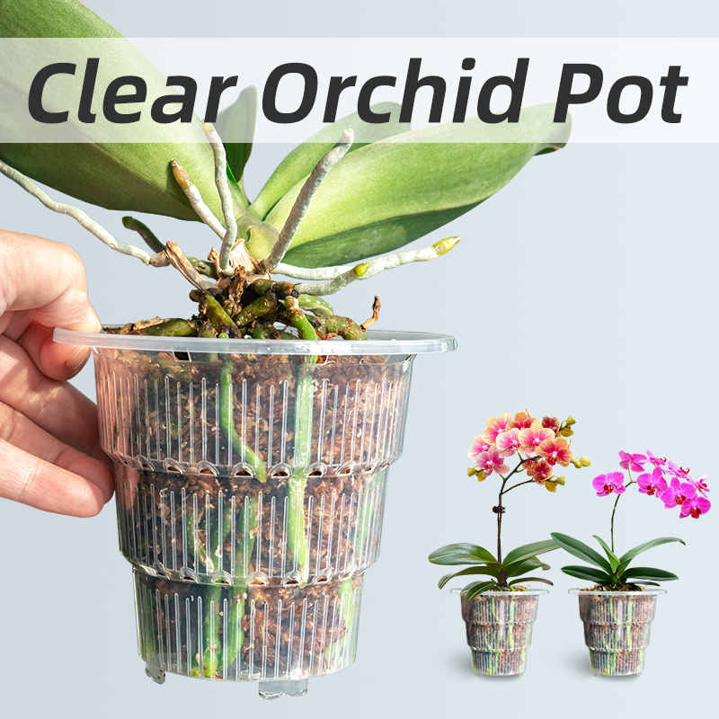 Meshpot Clear Plastic Orchid P - Desk Setup Plant 리뷰 및 가격