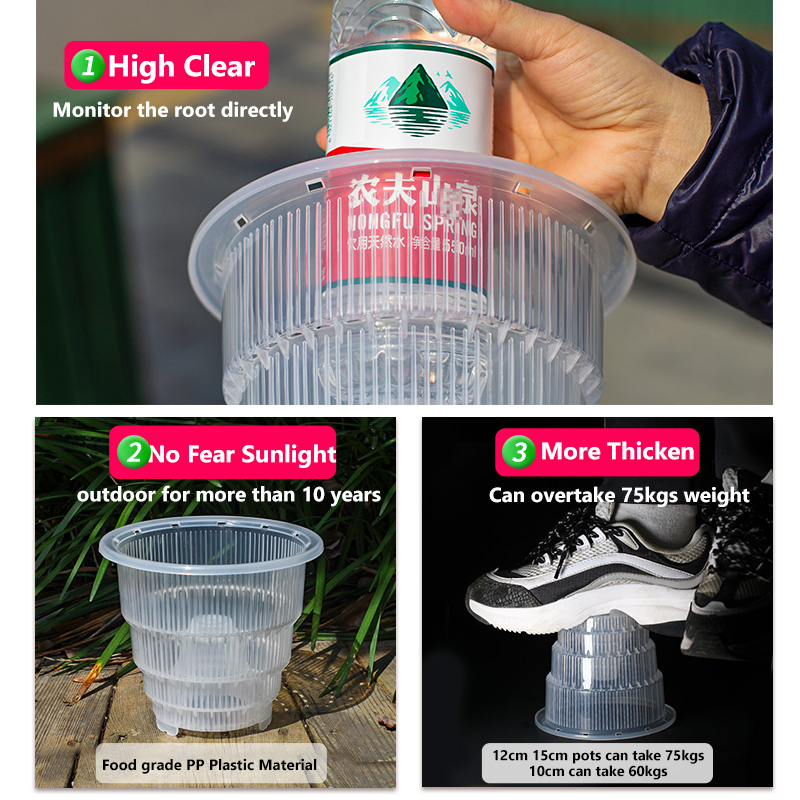 Meshpot Clear Plastic Orchid P - Desk Setup Plant 리뷰 및 가격