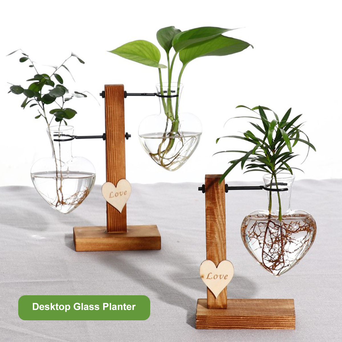 Glass Plant Vase with Wooden S - Desk Setup Plant 리뷰 및 가격