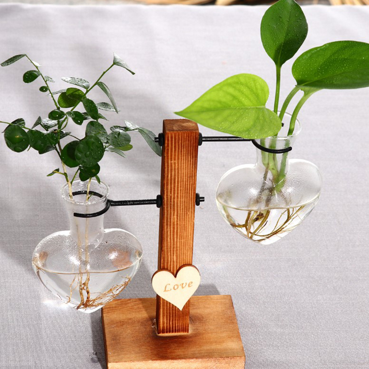 Glass Plant Vase with Wooden S - Desk Setup Plant 리뷰 및 가격