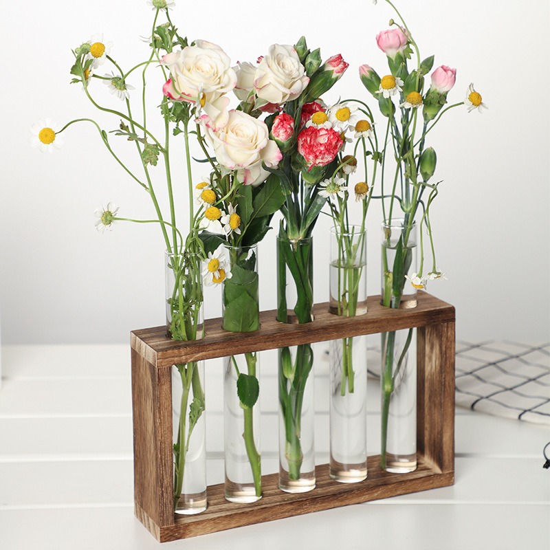 5-Tube Glass Hydroponic Plante - Desk Setup Plant 리뷰 및 가격