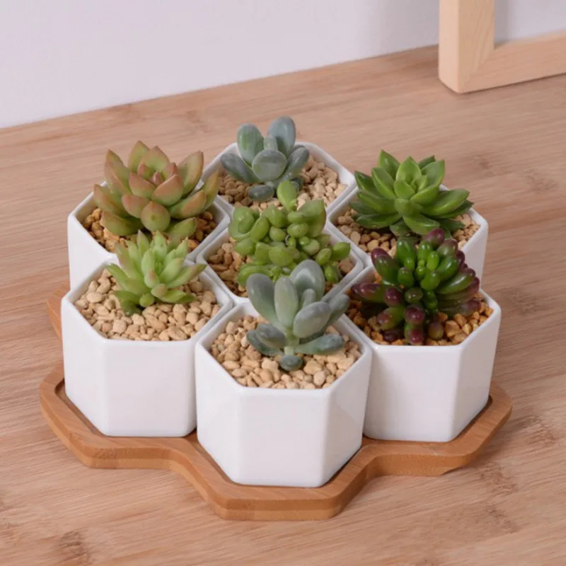 Set of 4/7/9/10 Hexagon Flower - Desk Setup White 리뷰 및 가격