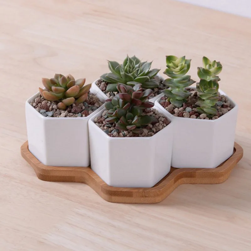 Set of 4/7/9/10 Hexagon Flower - Desk Setup White 리뷰 및 가격