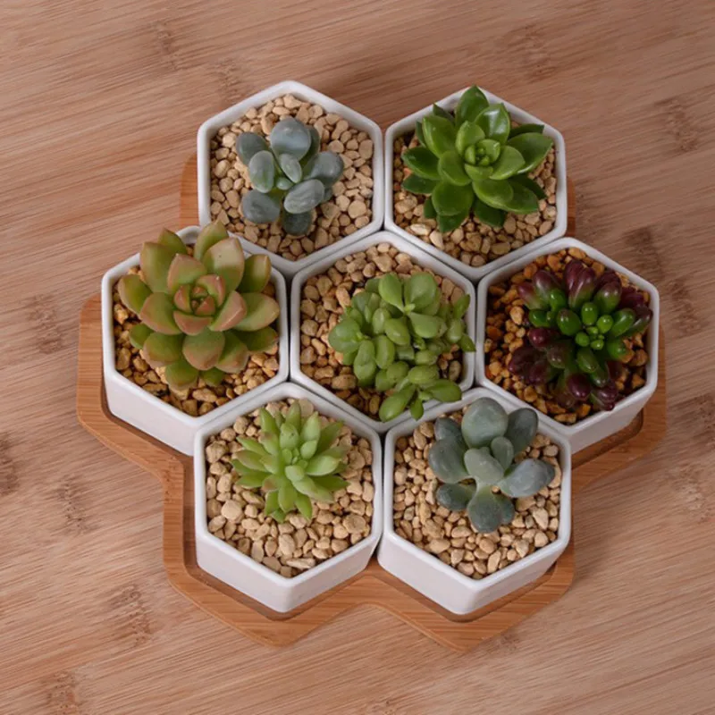 Set of 4/7/9/10 Hexagon Flower - Desk Setup White 리뷰 및 가격