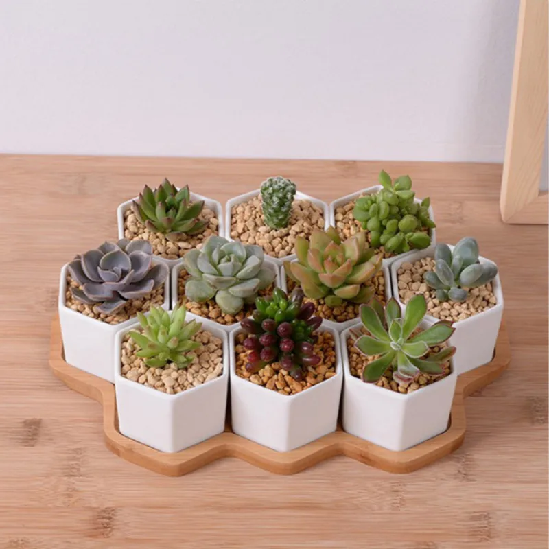 Set of 4/7/9/10 Hexagon Flower - Desk Setup White 리뷰 및 가격