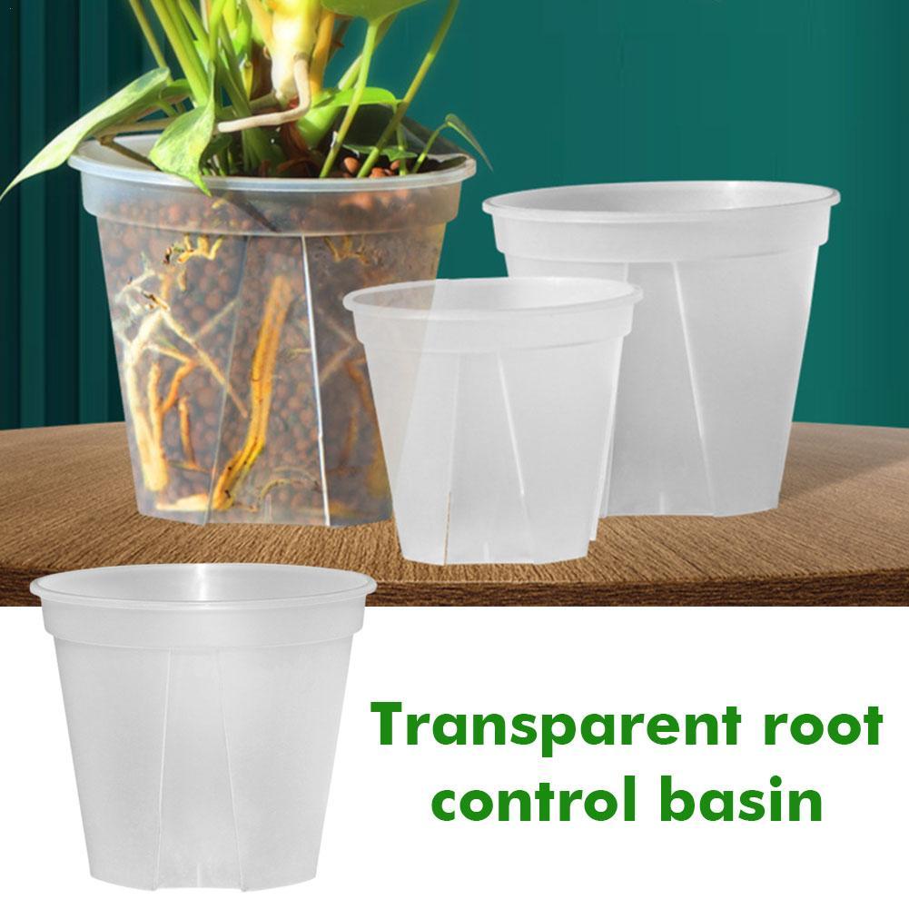 Transparent Plastic Pots Root  - Desk Setup Plant 리뷰 및 가격