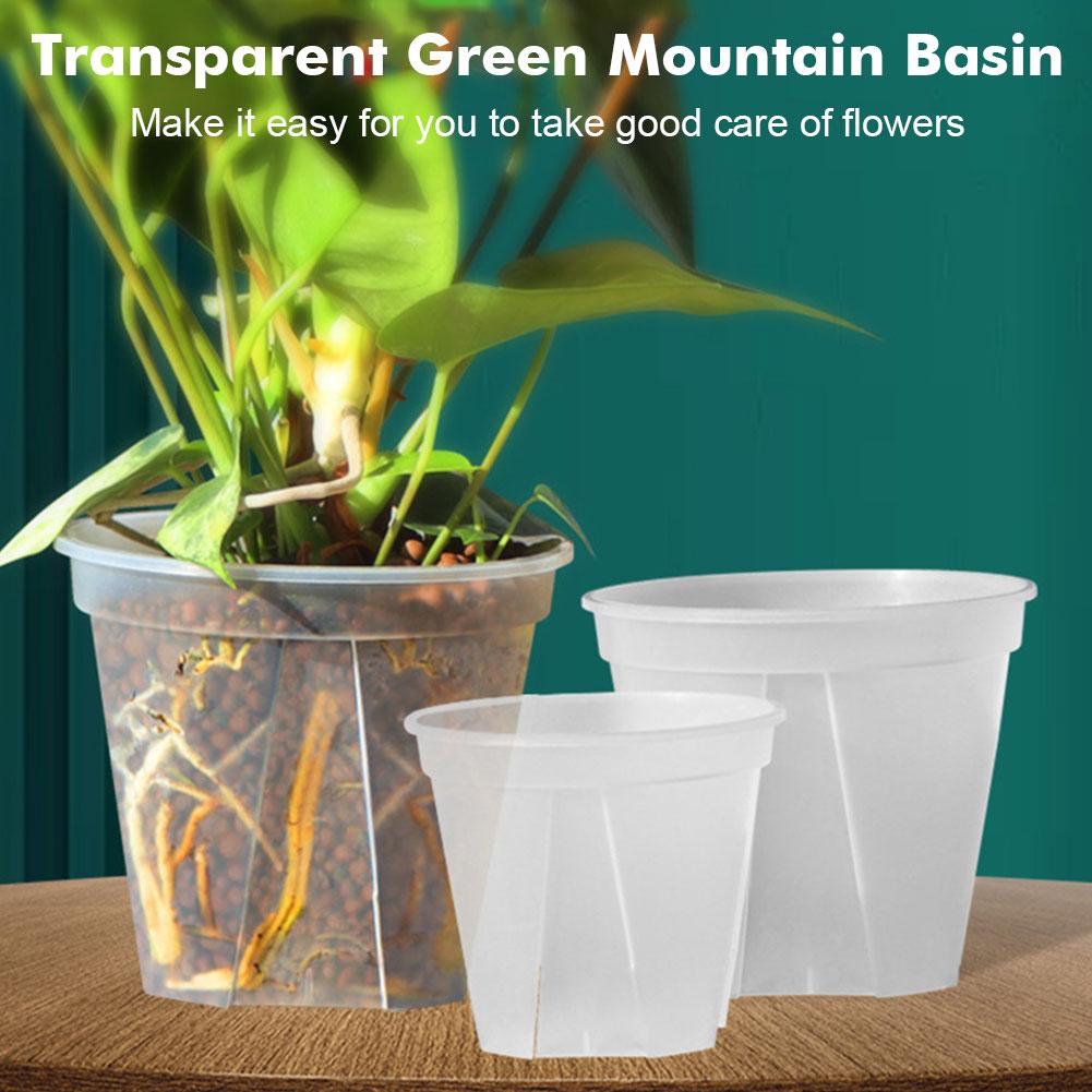 Transparent Plastic Pots Root  - Desk Setup Plant 리뷰 및 가격