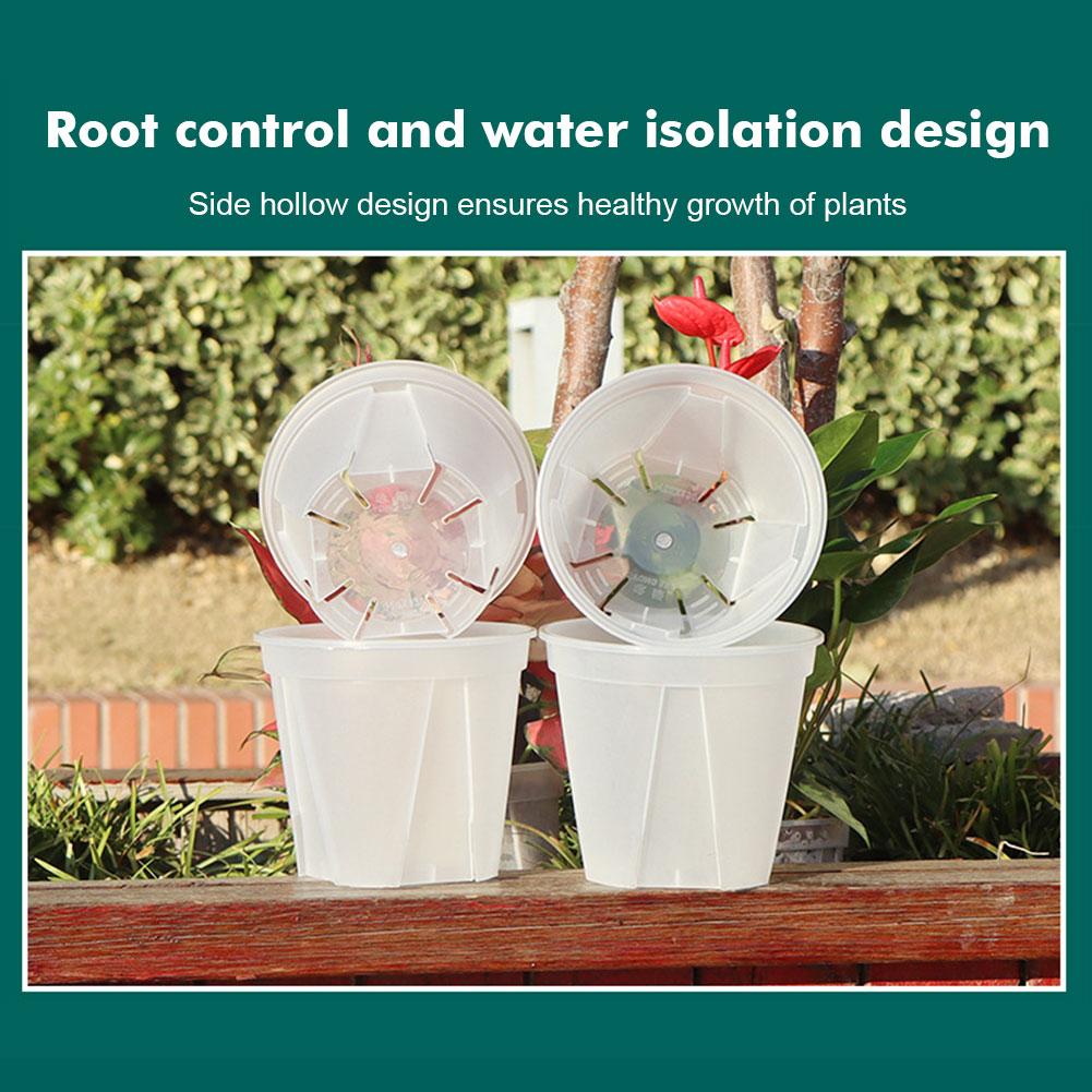 Transparent Plastic Pots Root  - Desk Setup Plant 리뷰 및 가격